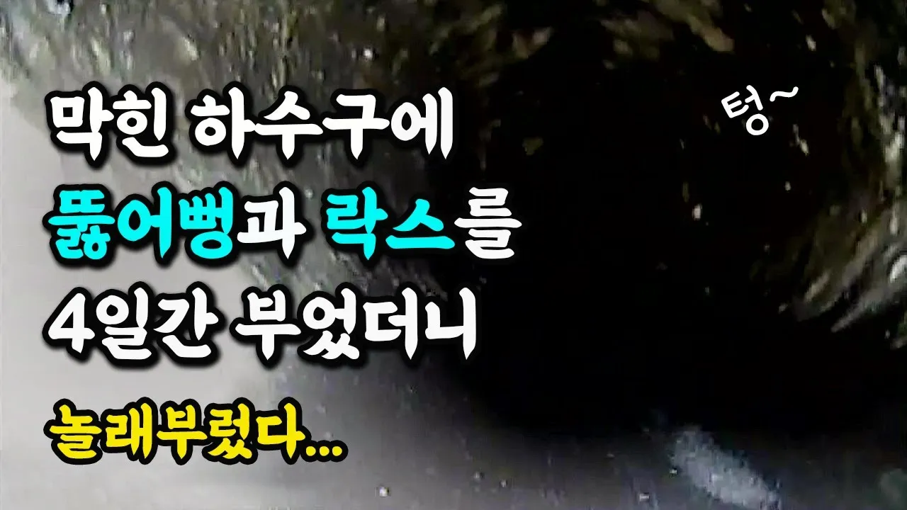 하수구가 막혀서 뚫어뻥과 락스를 4일동안 부었더니... 전문가가 밝힌 충격적인 진실