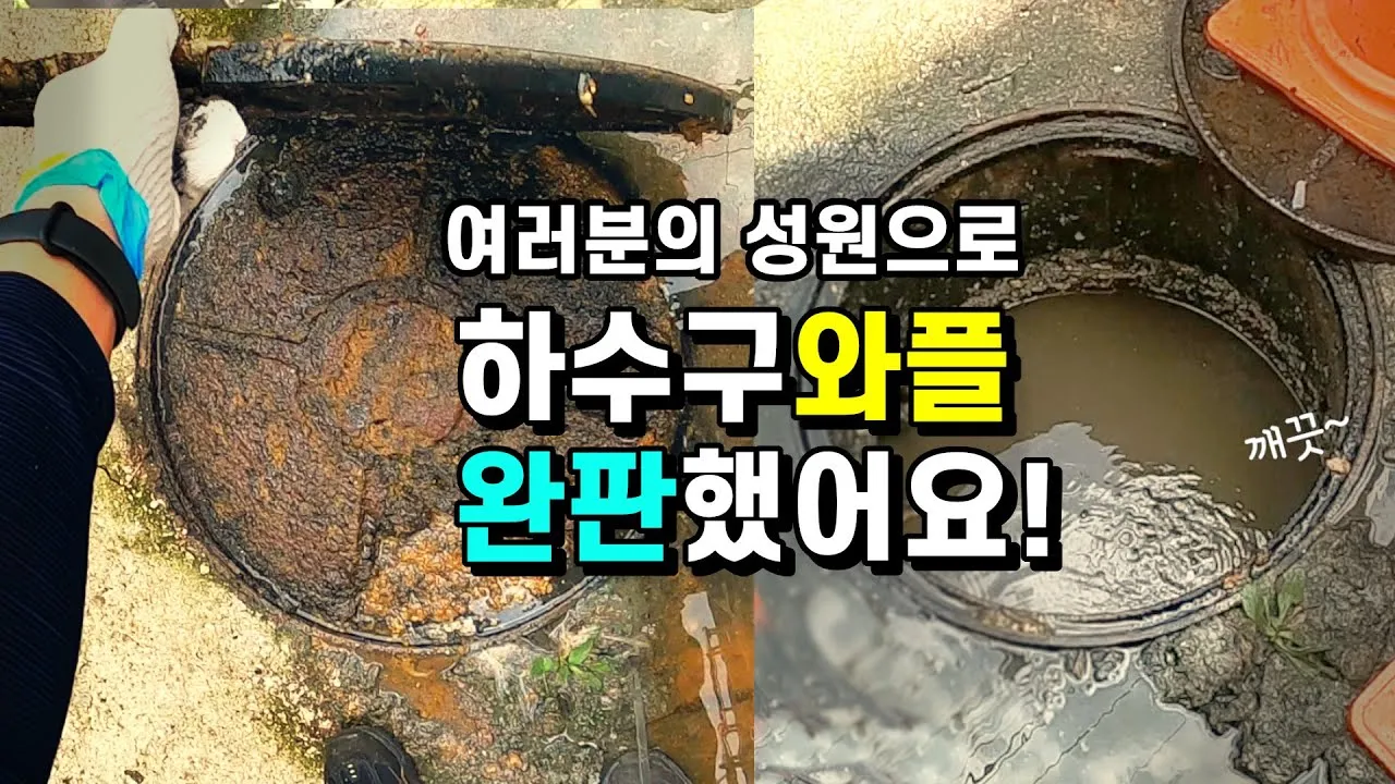 하수구가 와플을 만들 수밖에 없었던 이유 - 2부