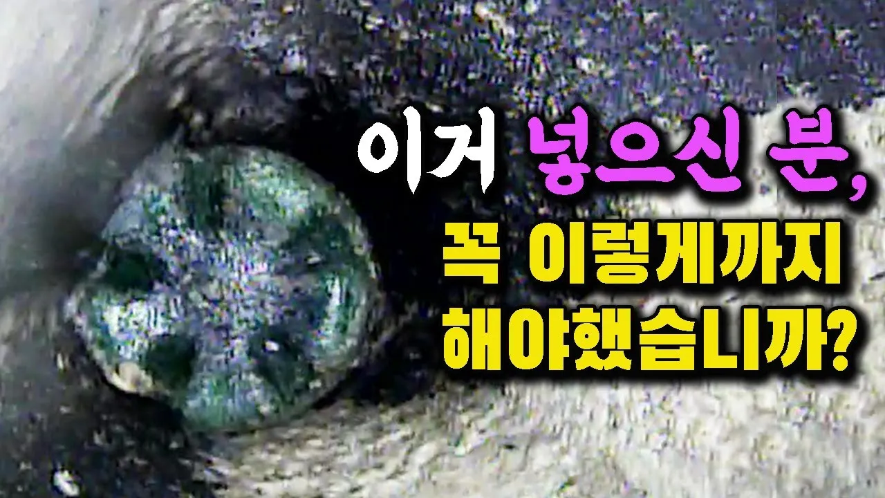 하수구 속에서 페트병이 통째로?! 믿을 수 없는 막힘 해결 사건