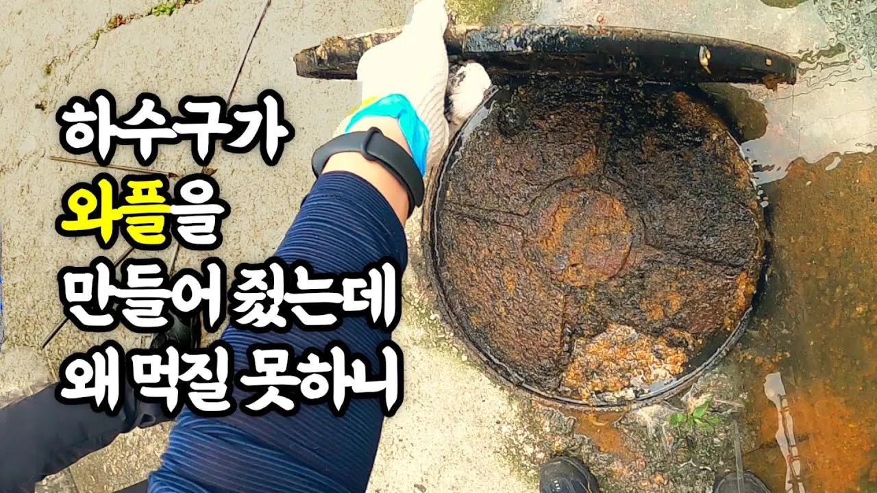 하수구 와플 현상 해결! 악취와 역류로 골치 앓던 하수구 문제의 놀라운 원인