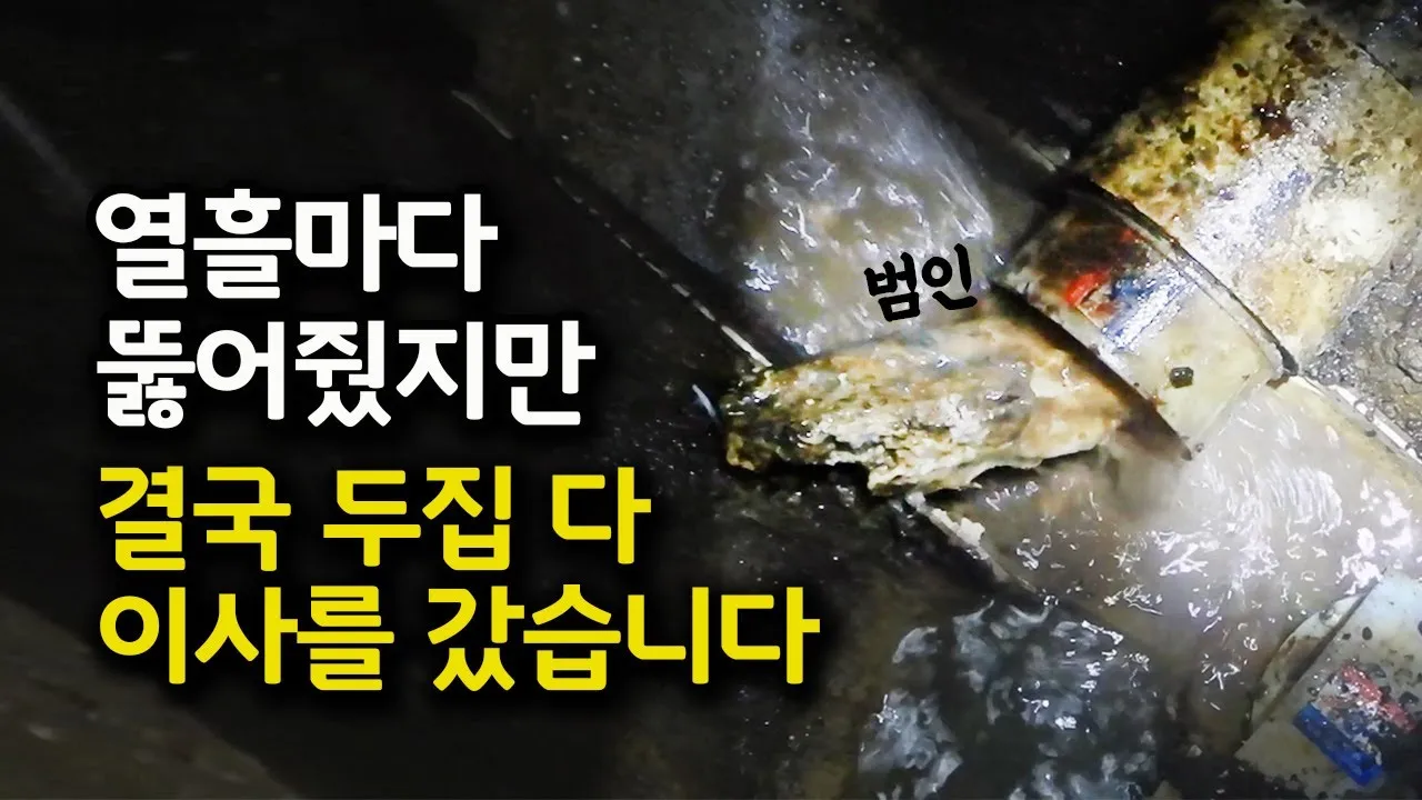 열흘마다 하수구가 막혀서 뚫어줬더니 결국... 놀라운 역류의 원인!
