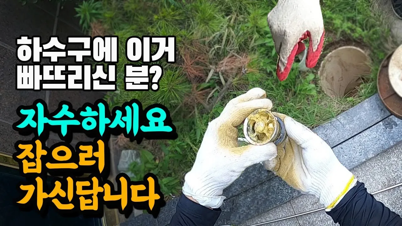 하수구 막힘 범인 찾아냈습니다! 집주인분이 직접 잡으러 가신답니다