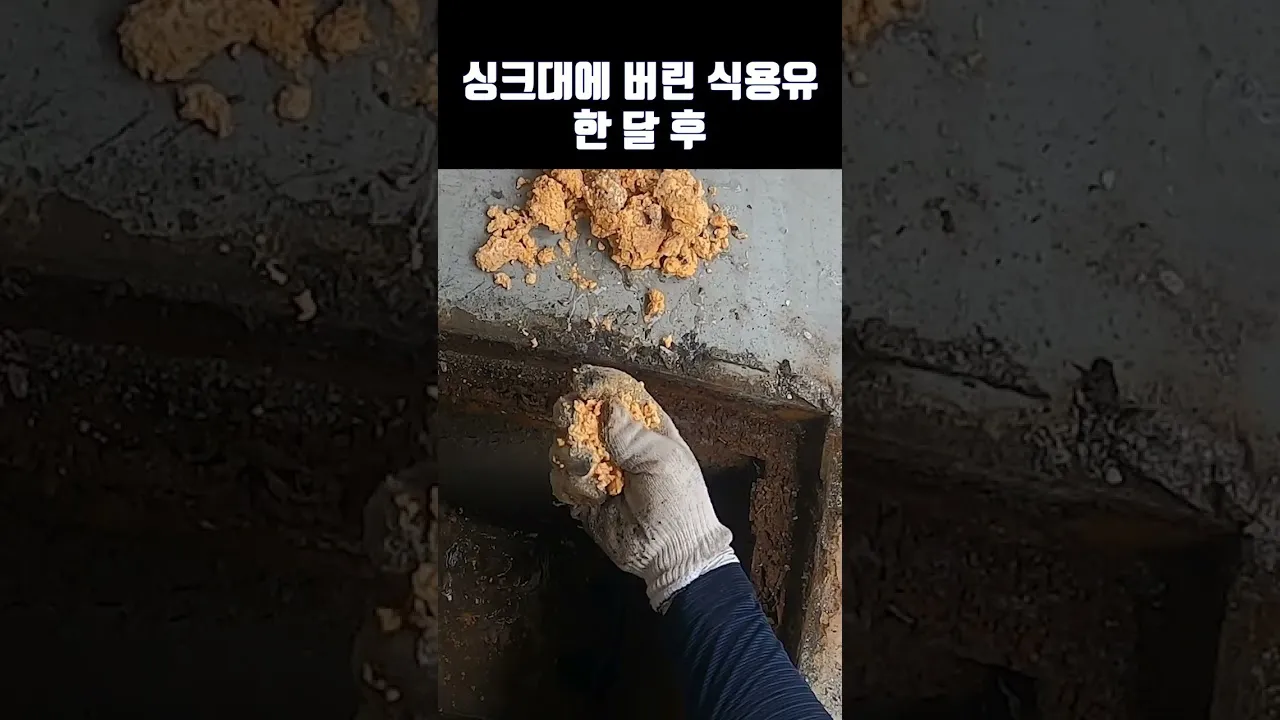 싱크대 식용유 버리면 이렇게 됩니다! 전문가가 알려주는 충격적인 하수관 파손 사례