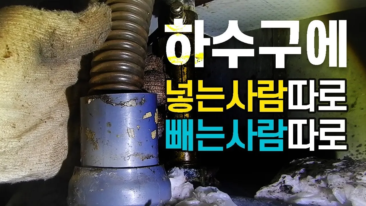 6년 전, 누군가 좋은 의도로 하수구에 이걸 넣었습니다. 후폭풍을 예상하지 못한채..